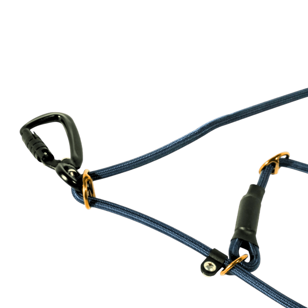 Safety Leash “bite resistant”