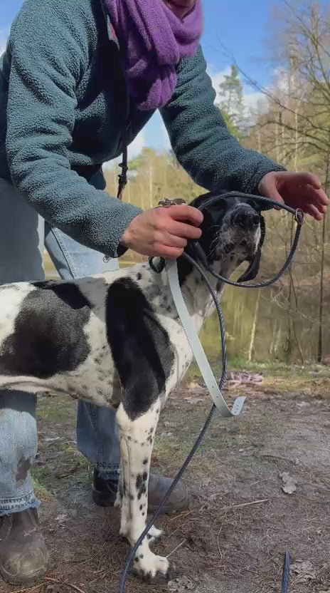 Video laden: Safety Leash anziehen